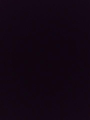 Марина Высший Свет Реал фото 2